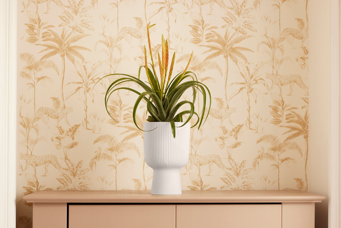 vibes fold coupe 14cm blanco lino